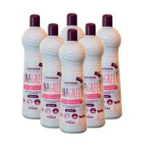 Kit 6 Limpador Vinagreen Lavanda Multiuso 100% Fácil 500ml
