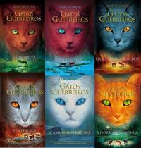 Kit 6 Livros Gatos Guerreiros Erin Hunter