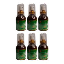 Kit 6 mel com propolis menta 30ml natural sem conservantes Kit 6 mel com propolis menta 30ml natural sem conservantes