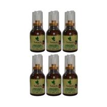 Kit 6 Mel Com Propolis Roma Gengibre E Hortela 30Ml Natural Kit 6 Mel Com Propolis Roma Gengibre E Hortela 30Ml Natural