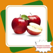 Kit 6 Mudas de Maça Julieta Enxertada Malus Domestica