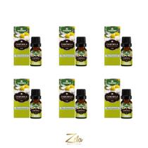 Kit 6 Óleo Essenciais Camomila Alemã 100% Puro 5ml - Chamed