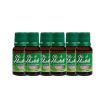 Kit 6 Óleo Essencial de Hortelã Menta Piperita BioSeiva 15ml Aromaterapia Massagem Difusor Kit 6 Óleo Essencial de Hortelã Menta Piperita BioSeiva 15ml Aromaterapia Massagem Difusor