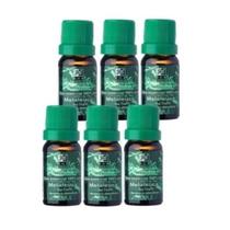 Kit 6 Oleo Essencial de Melaleuca Tea Tree Puro 10 ML Original RHR
