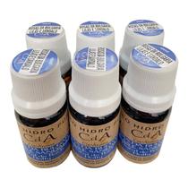 KIT 6 Óleo Hidrossolúvel Rosas Bulgária Umidificadores 10ml