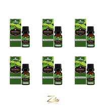 Kit 6 Óleos Essenciais Patchouli 100% Puro 10ml - Chamed