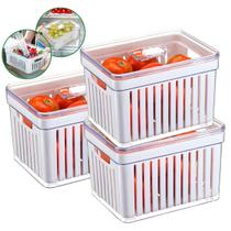 Kit 6 Organizadores 3,8 Litros De Geladeira Com Cesto De Drenagem E Tampa Com Abertura Armazenamento De Frutas E Verduras Vegetais Kit 6 Organizadores 3,8 Litros De Geladeira Com Cesto De Drenagem E Tampa Com Abertura Armazenamento De Frutas E Verduras Vegetais