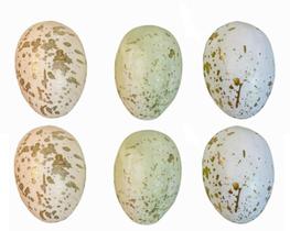 Kit 6 Ovos Decor de pascoa para pendurar color