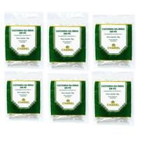 Kit 6 Pacotes De Castanha Da India Em Pó 50 Gramas - Chamel