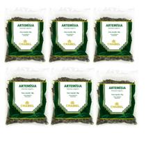 Kit 6 Pacotes De Chá Artemísia 30 Gramas - Chamel Kit 6 Pacotes De Chá Artemísia 30 Gramas - Chamel