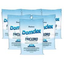 Kit 6 Pastilhas Cloro Piscina 200g - Domclor