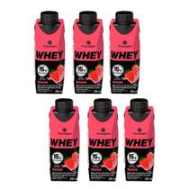 Kit 6 Piracanjuba Bebida Whey Zero Lactose Coco 250ml Kit 6 Piracanjuba Bebida Whey Zero Lactose Coco 250ml