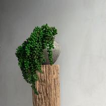 Kit 6 Plantas Pendentes Artificiais Revestidas Silicone Decoração Elegante