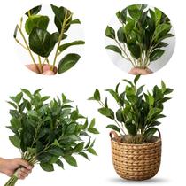 Kit 6 Plantas Peperômia Artificial 80cm Folhagem Realista para Ambientes Internos Kit 6 Plantas Peperômia Artificial 80cm Folhagem Realista para Ambientes Internos