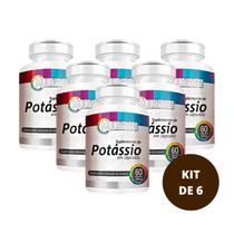 Kit 6 - potassio 100 mg 60 caps - Flora Nativa