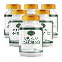 Kit 6 Potes Cardo Mariano Puro 360 Cápsulas 500Mg Kit 6 Potes Cardo Mariano Puro 360 Cápsulas 500Mg