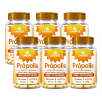 Kit 6 Própolis Extrato Seco 60 Cápsulas 550mg Chamel