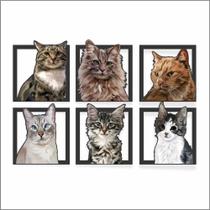 Kit 6 Quadros Decorativos de Gatos em Relevo 3D Felinos Divertidos Fofos - Idealizze DECOR