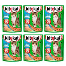 Kit 6 Ração para Gatos KiteKat Adulto Sabor Peixe 70g