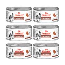 Kit 6 Ração Úmida Royal Canin Recovery Lata Cães E Gato 195g Kit 6 Ração Úmida Royal Canin Recovery Lata Cães E Gato 195g