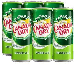 kit 6 REFRIGERANTE CANADA DRY GINGER ALE LATA 330ML