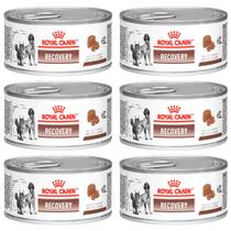 KIT 6 Royal Canin Recovery Ração Recuperação para Cão e Gato 195g