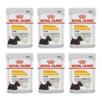Kit 6 Royal Canin Sachê Dermaconfort Wet Para Cães - 85 G Kit 6 Royal Canin Sachê Dermaconfort Wet Para Cães - 85 G