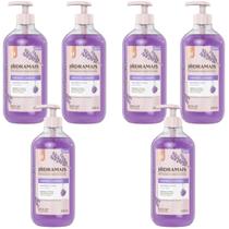 kIT 6 Sabonete Gel Lavanda Equilibrio e Calma 500 ml Hidramais