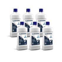 Kit 6 Shampoo Clorexidina Dermatite Cães e Gatos World 500ml