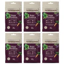 Kit 6 Sopa Proteica Cara Roxo 13g Proteina Vegetal 40g