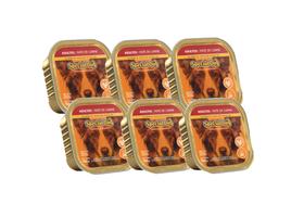 Kit 6 Special Dog Patê Cães Adultos Carne 150g