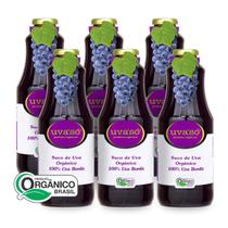 Kit 6 Suco De Uva Bordô Integral Orgânico Uva Só 1 L Kit 6 Suco De Uva Bordô Integral Orgânico Uva Só 1 L