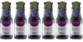 Kit 6 suco de uva bordô integral orgânico uvasó 300 ml