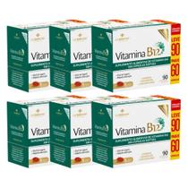 Kit 6 Suplemento Vitamina B12 Com 90 Cápsulas - La San-Day Kit 6 Suplemento Vitamina B12 Com 90 Cápsulas - La San-Day