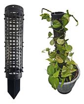 Kit 6 Suporte Tutor Para Plantas Trepadeiras Jibóia Hera Kit 6 Suporte Tutor Para Plantas Trepadeiras Jibóia Hera