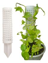 Kit 6 Suporte Tutor Transparente Plantas Trepadeiras Jibóia Kit 6 Suporte Tutor Transparente Plantas Trepadeiras Jibóia