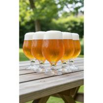 Kit 6 Taças Cerveja 380ml: Aroma e Sabor