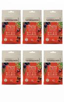 Kit 6 Thermo Pre Workout Açai Guarana Cafe Natural 15g