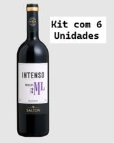 Kit 6 Un Vinho Salton Intenso Merlot 750 ml