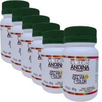 KIT 6 Unid. Stévia Adoçante Natural livre de sabor amargo 40g Color Andina Foods