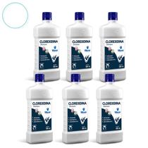 Kit 6 unidades Shampoo Clorexidina World
