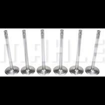 Kit 6 Válvula admissão Nl 12 360 1992 a 1999 Metal Leve