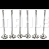 Kit 6 Válvula escape Scania F250 2011 a 2014 Metal Leve