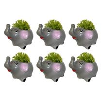Kit 6 Vasinhos Chachepot, Para Plantas e Suculentas Elefante
