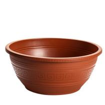 kit 6 vasos cuia redondo 6,6 litros com alça suculentas rosas do deserto kit 6 vasos cuia redondo 6,6 litros com alça suculentas rosas do deserto