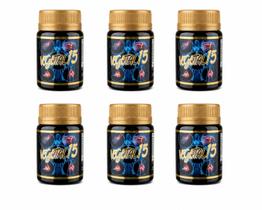 Kit 6 Vegetal 15 500mg 15 Cápsulas Suplemento Alimentar Kit 6 Vegetal 15 500mg 15 Cápsulas Suplemento Alimentar