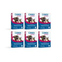 Kit 6 Vermífugo Canex Original Cães 10kg 4 Comprimidos Ceva