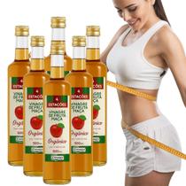 KIT 6 Vinagre 100% Orgânico de Maçã 500ml Acidez 4,2% - 4 Estações