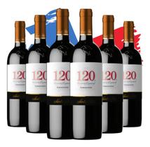 Kit 6 Vinho 120 Reserva Especial Carmenere 750ml- Chileno Kit 6 Vinho 120 Reserva Especial Carmenere 750ml- Chileno