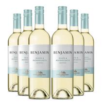 KIT 6 Vinho Argentino Benjamin Branco Suave e Refrescante, 750ml